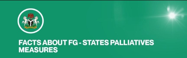 11 Facts About Federal and State Government Palliatives Measures You Don’t Know About (See Details)