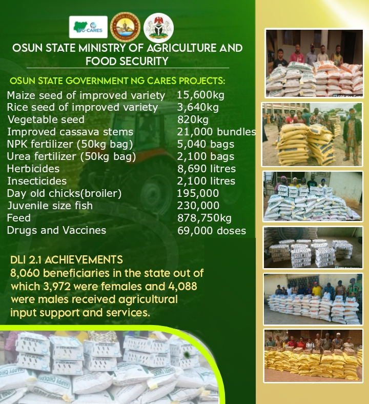 O-CARES Initiative has Yielded Monumental Impact in Agriculture Development in Osun – Project Coordinator, Dr Adediji